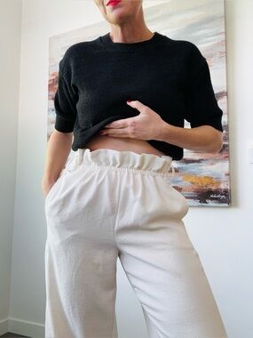 ARITZIA Wilfred Gelas Wide-Leg Textured Pant Oyster Size 8